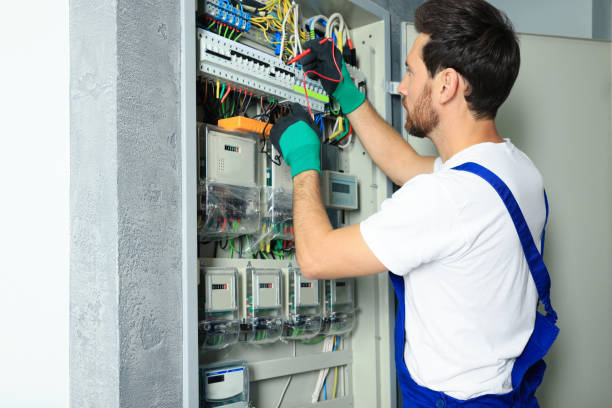 Best Electric Panel Repair  in Nett, MO