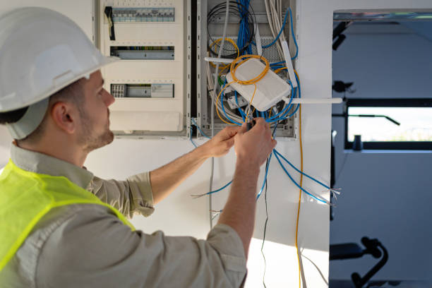 Best Electric Panel Repair  in Nett, MO